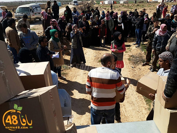 syrian torod (2).jpg